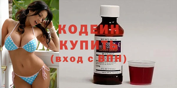 хмурый Арсеньев