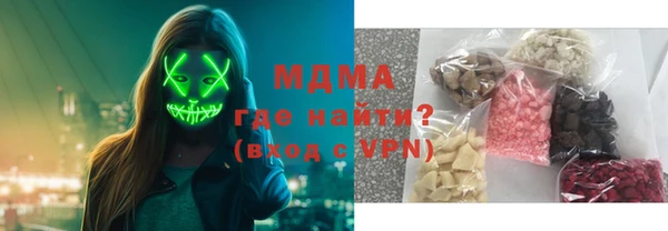 хмурый Арсеньев