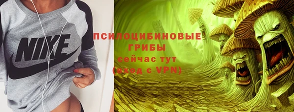 хмурый Арсеньев