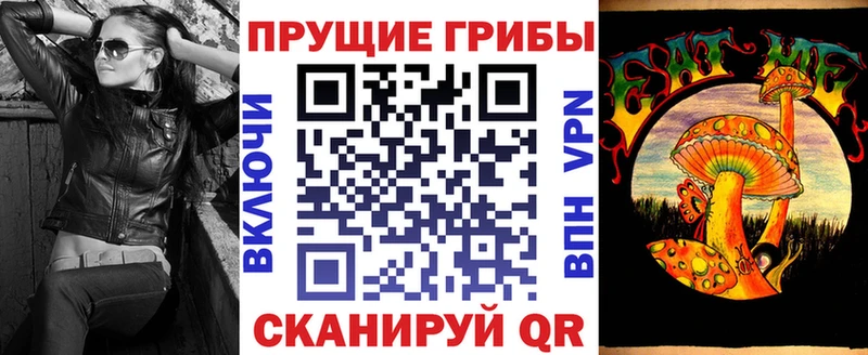 Галлюциногенные грибы Psilocybine cubensis  купить наркотики сайты  Салехард 